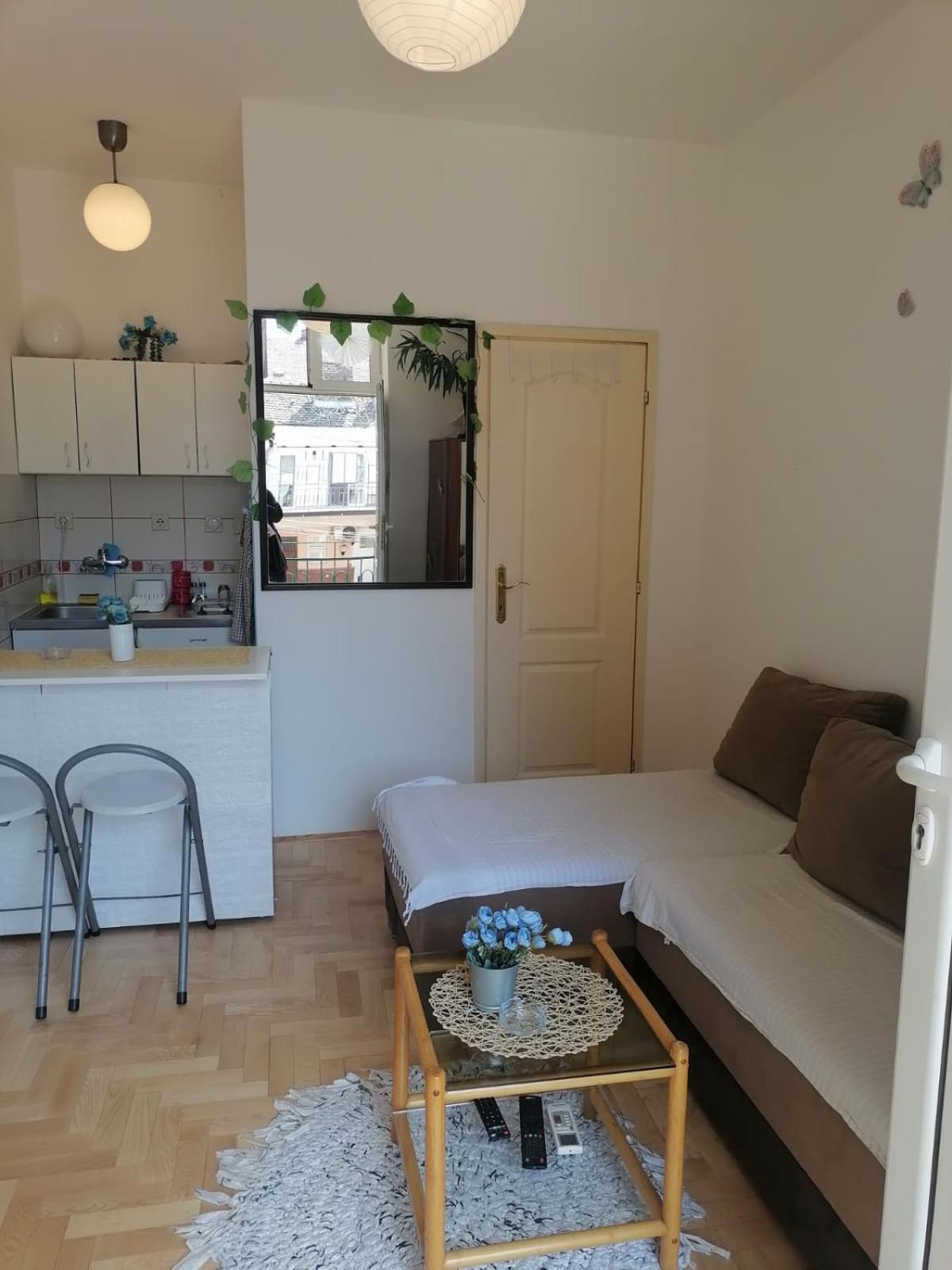 Small Low Cost Studio Belgrado Esterno foto